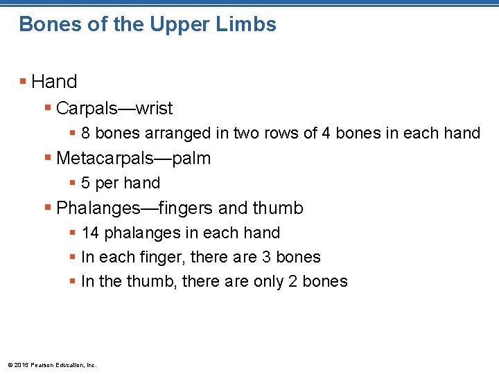 Bones of the Upper Limbs § Hand § Carpals—wrist § 8 bones arranged in