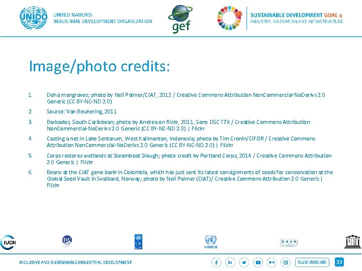 Image/photo credits: 1. Doha mangroves; photo by Neil Palmer/CIAT, 2012 / Creative Commons Attribution