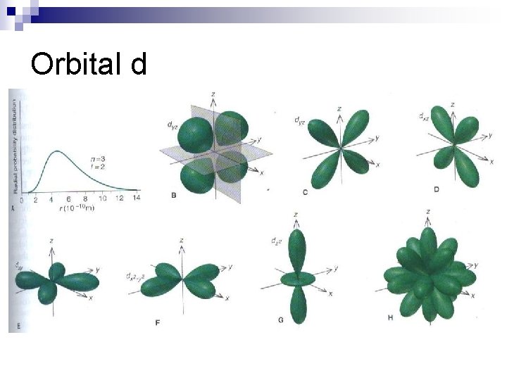Orbital d 