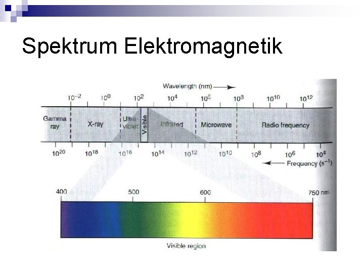 Spektrum Elektromagnetik 