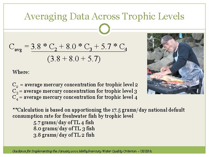 Averaging Data Across Trophic Levels Cavg = 3. 8 * C 2 + 8.
