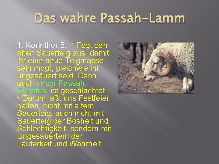 Das wahre Passah-Lamm 1. Korinther 5: 7 Fegt den alten Sauerteig aus, damit ihr