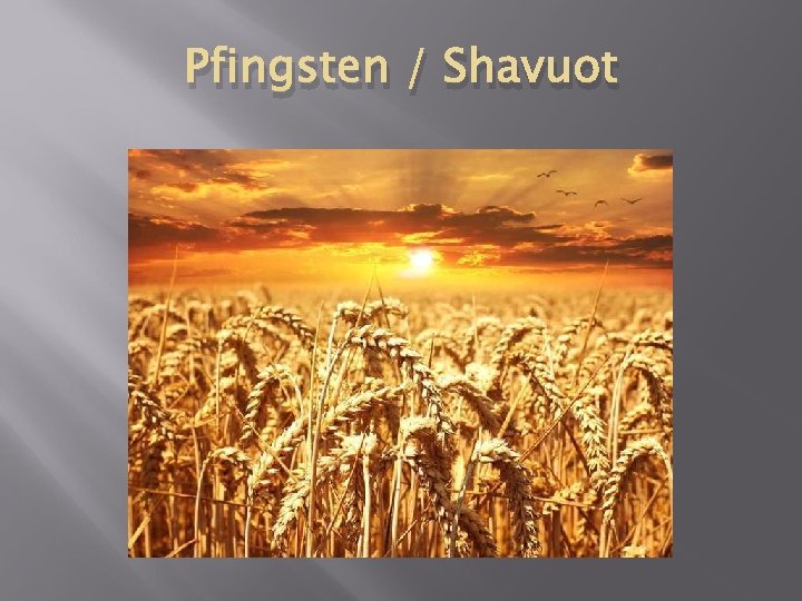 Pfingsten / Shavuot 