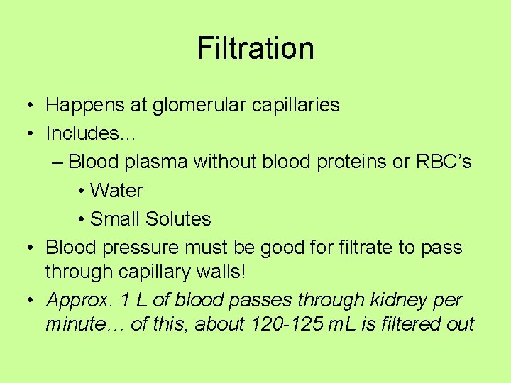 Filtration • Happens at glomerular capillaries • Includes… – Blood plasma without blood proteins