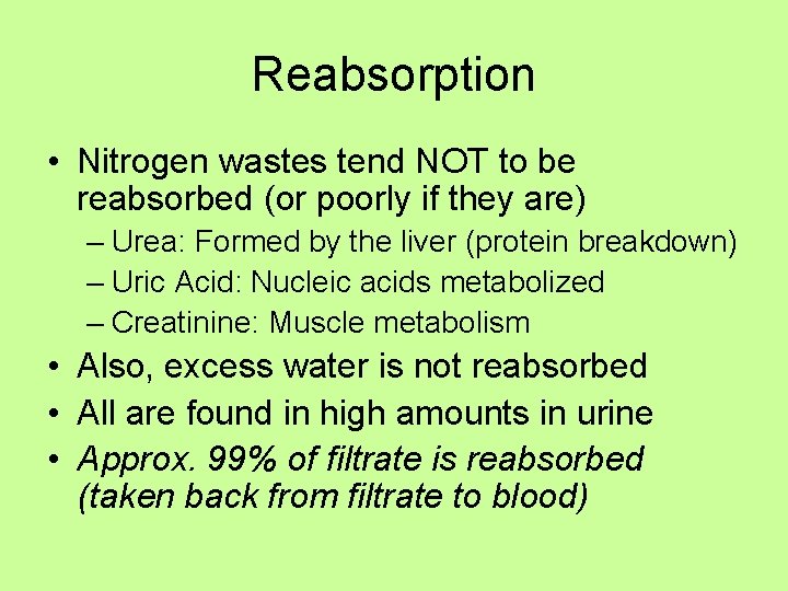 Reabsorption • Nitrogen wastes tend NOT to be reabsorbed (or poorly if they are)
