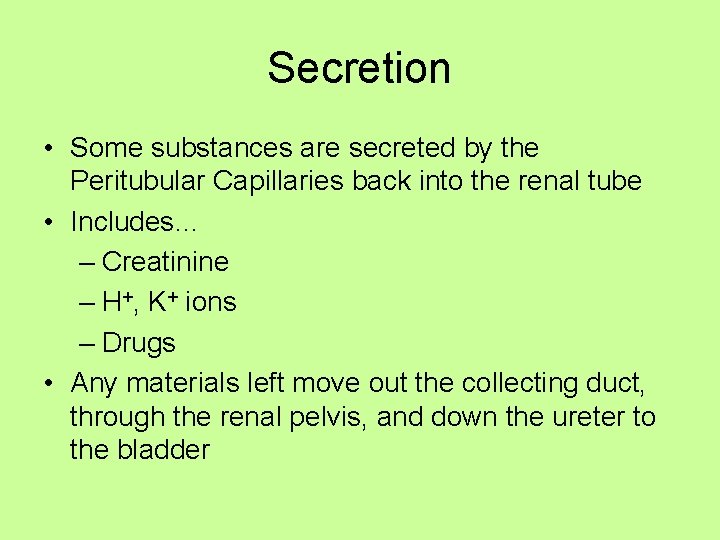 Secretion • Some substances are secreted by the Peritubular Capillaries back into the renal