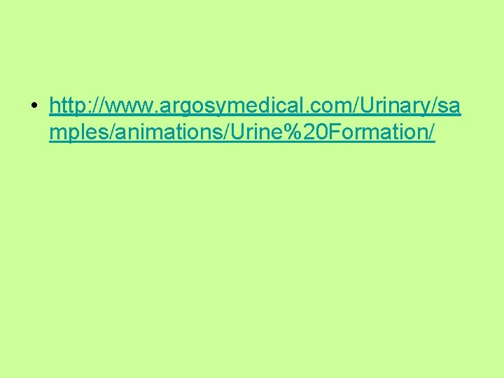  • http: //www. argosymedical. com/Urinary/sa mples/animations/Urine%20 Formation/ 