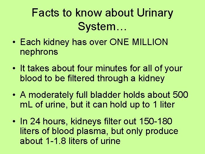 Facts to know about Urinary System… • Each kidney has over ONE MILLION nephrons