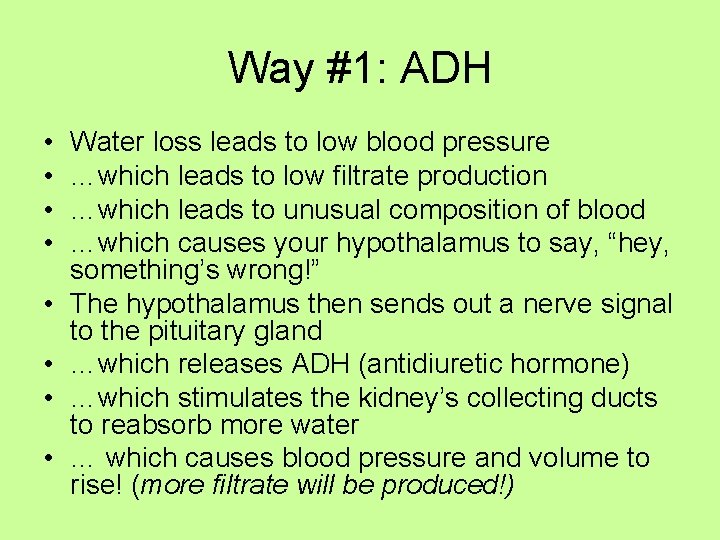 Way #1: ADH • • Water loss leads to low blood pressure …which leads