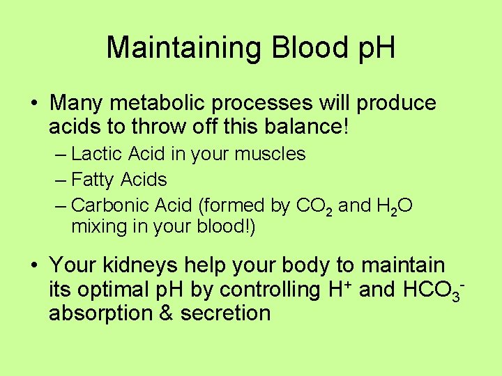Maintaining Blood p. H • Many metabolic processes will produce acids to throw off