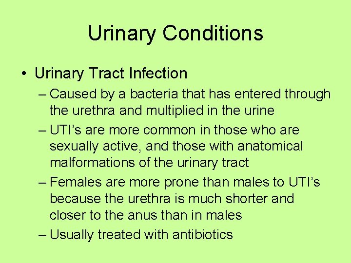 Urinary Conditions • Urinary Tract Infection – Caused by a bacteria that has entered