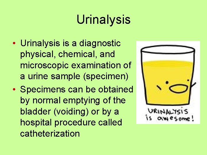 Urinalysis • Urinalysis is a diagnostic physical, chemical, and microscopic examination of a urine