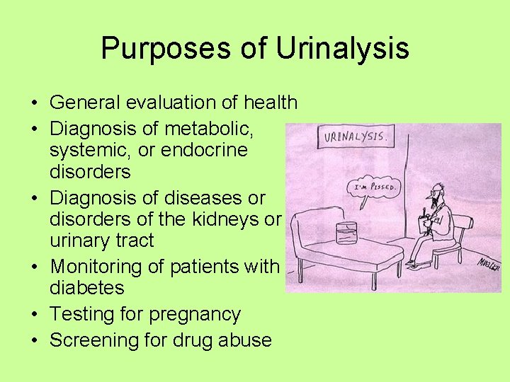 Purposes of Urinalysis • General evaluation of health • Diagnosis of metabolic, systemic, or