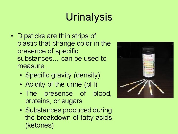 Urinalysis • Dipsticks are thin strips of plastic that change color in the presence