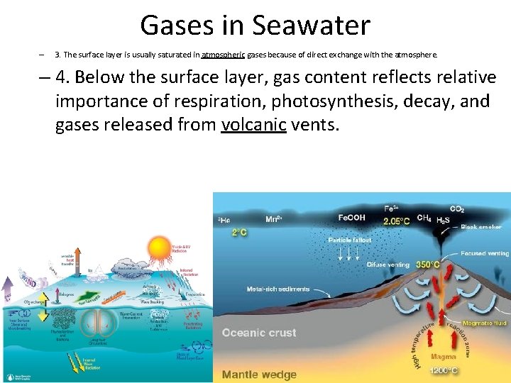 Gases in Seawater – 3. The surface layer is usually saturated in atmospheric gases