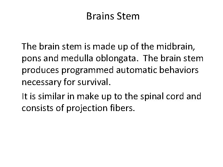 Brains Stem The brain stem is made up of the midbrain, pons and medulla