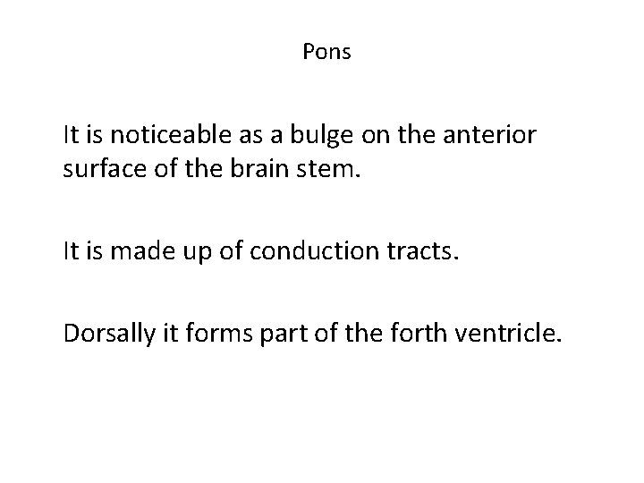 Pons It is noticeable as a bulge on the anterior surface of the brain