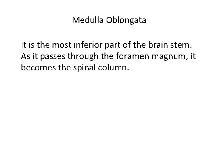 Medulla Oblongata It is the most inferior part of the brain stem. As it