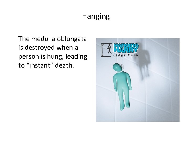 Hanging The medulla oblongata is destroyed when a person is hung, leading to “instant”