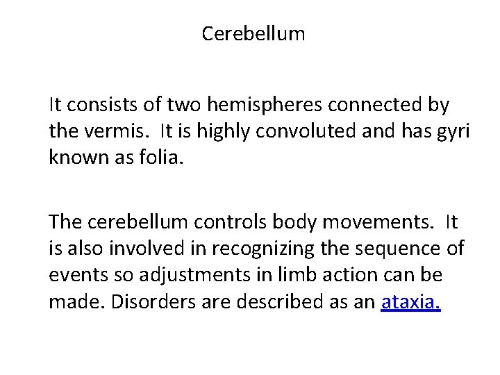 Cerebellum It consists of two hemispheres connected by the vermis. It is highly convoluted