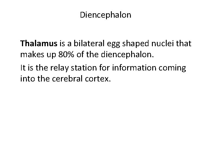Diencephalon Thalamus is a bilateral egg shaped nuclei that makes up 80% of the
