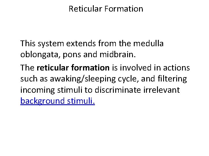 Reticular Formation This system extends from the medulla oblongata, pons and midbrain. The reticular