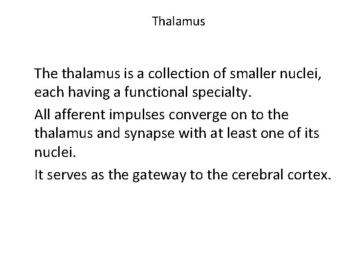 Thalamus The thalamus is a collection of smaller nuclei, each having a functional specialty.