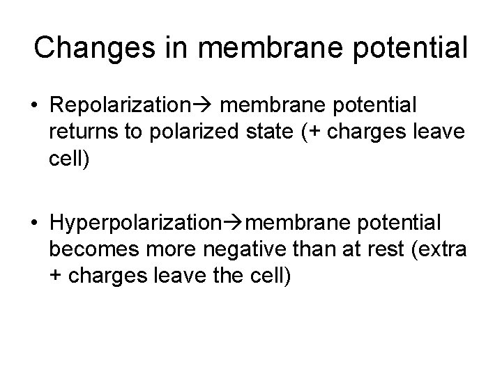Changes in membrane potential • Repolarization membrane potential returns to polarized state (+ charges