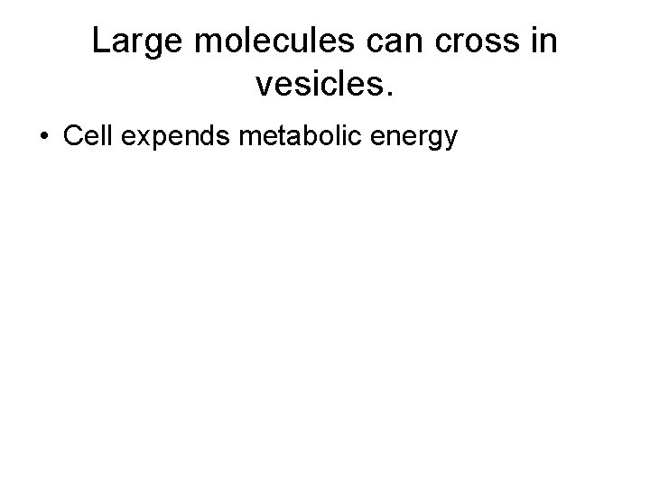 Large molecules can cross in vesicles. • Cell expends metabolic energy 