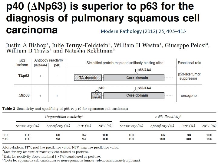 Modern Pathology (2012) 25, 405– 415 