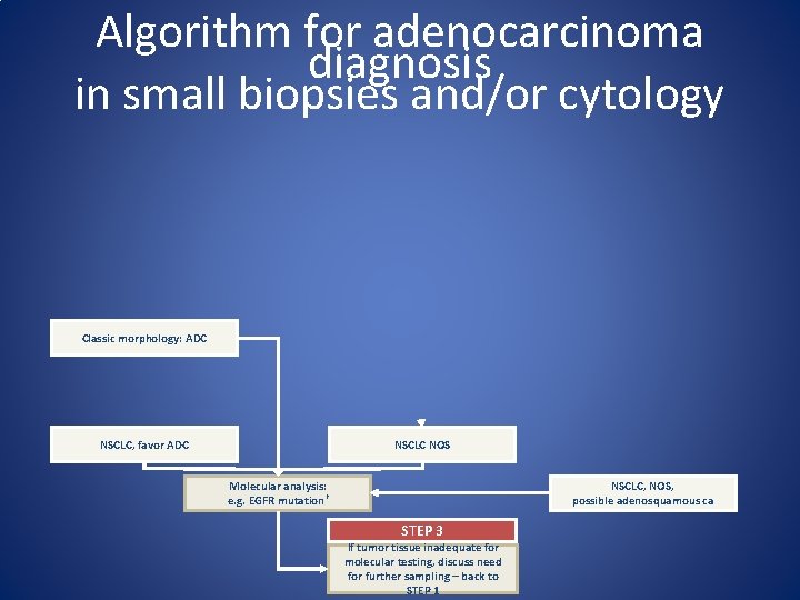 Algorithm for adenocarcinoma diagnosis in small biopsies and/or cytology Classic morphology: ADC NSCLC, favor