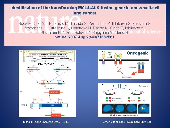 Identification of the transforming EML 4 -ALK fusion gene in non-small-cell lung cancer. Soda
