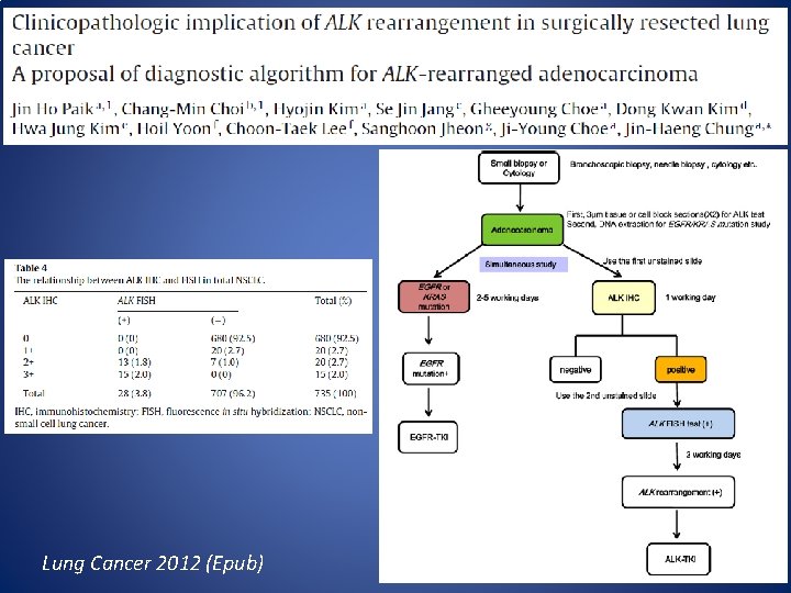 Lung Cancer 2012 (Epub) 