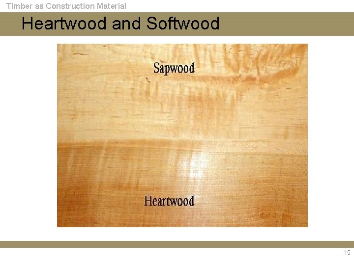 Timber as Construction Material Heartwood and Softwood 15 