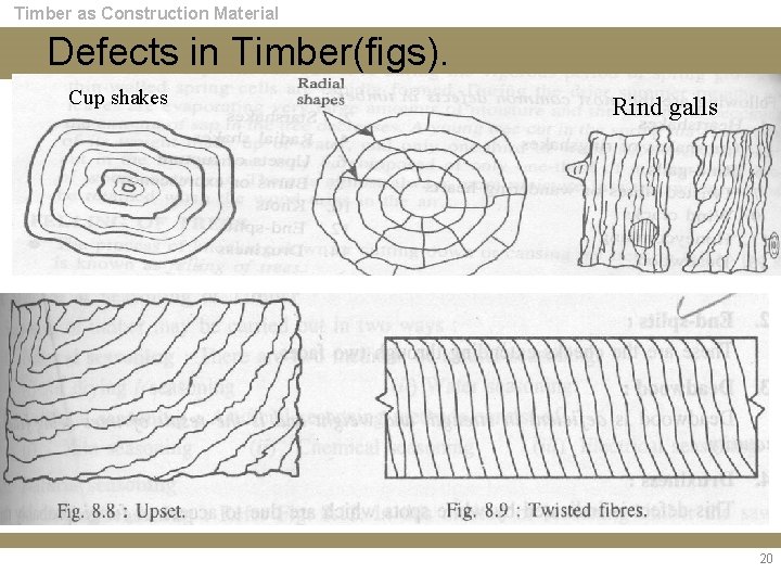Timber as Construction Material Defects in Timber(figs). Cup shakes Rind galls 20 