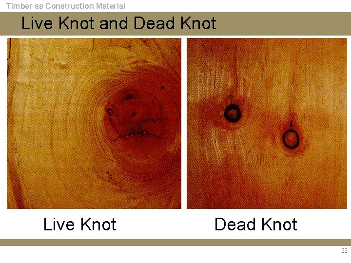 Timber as Construction Material Live Knot and Dead Knot Live Knot Dead Knot 22
