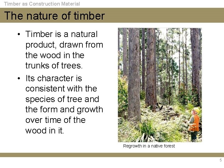 Timber as Construction Material The nature of timber • Timber is a natural product,