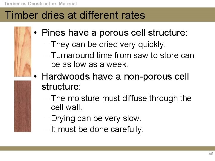Timber as Construction Material Timber dries at different rates • Pines have a porous