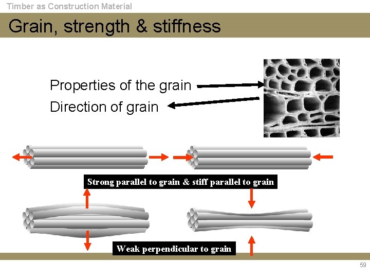 Timber as Construction Material Grain, strength & stiffness Properties of the grain Direction of