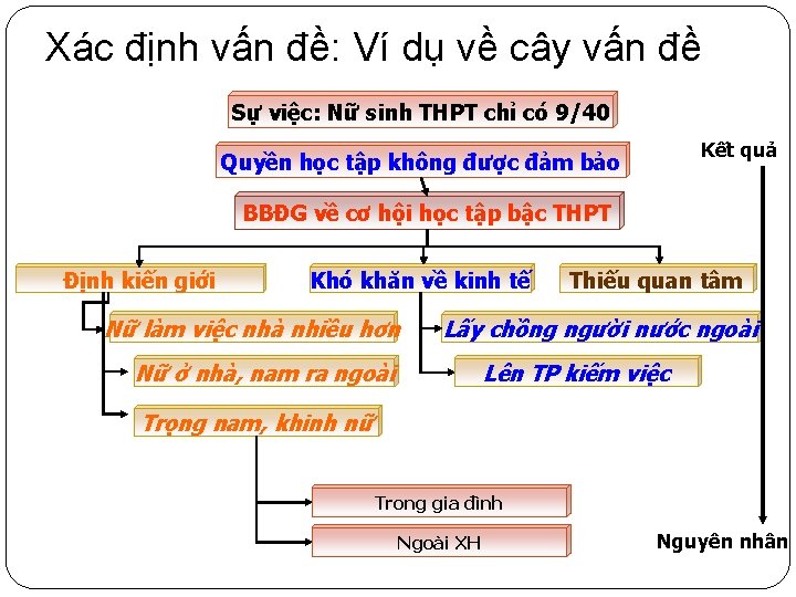 Xác định vấn đề: Ví dụ về cây vấn đề Sự việc: Nữ sinh