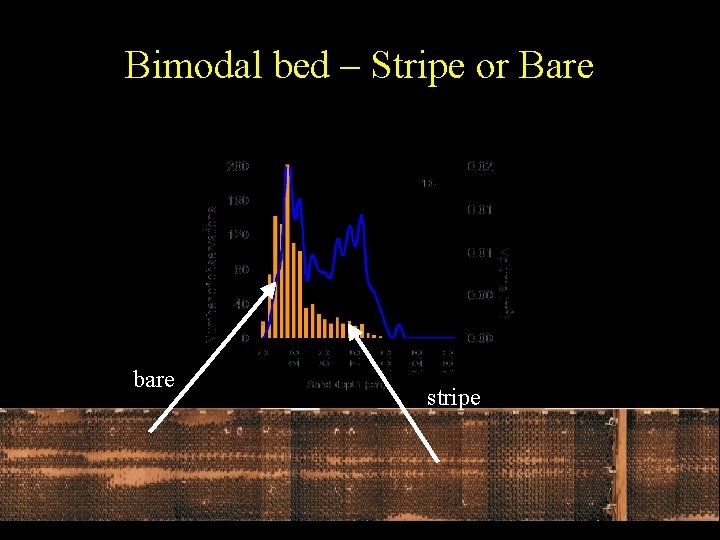 Bimodal bed – Stripe or Bare bare stripe 
