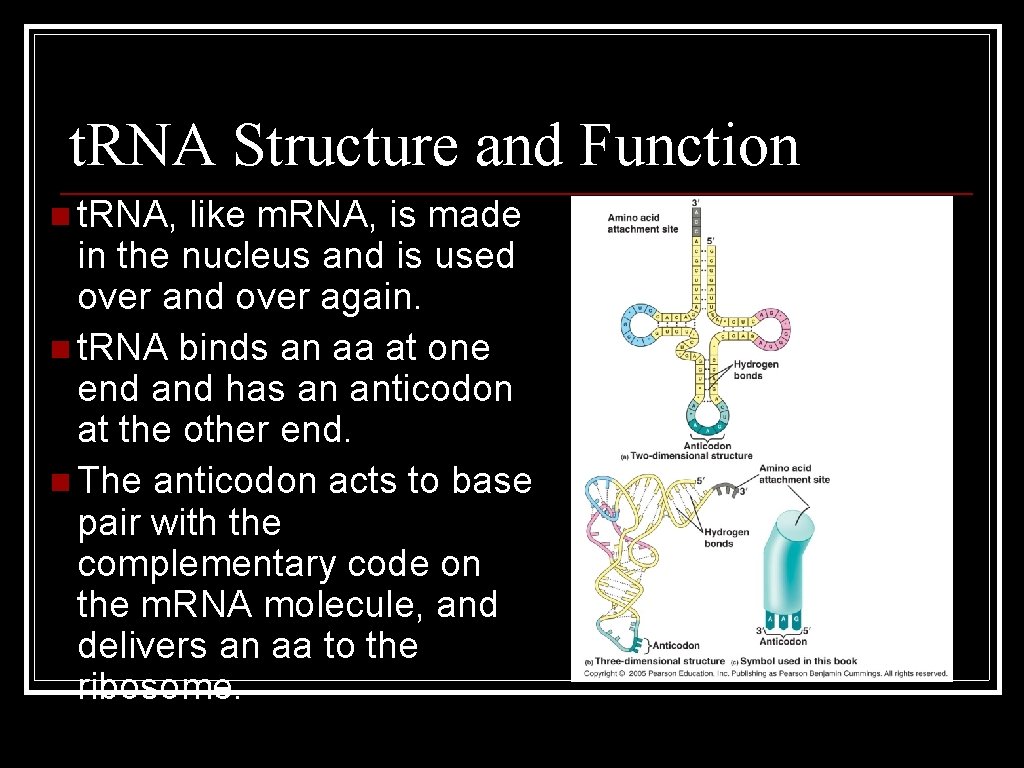 t. RNA Structure and Function n t. RNA, like m. RNA, is made in