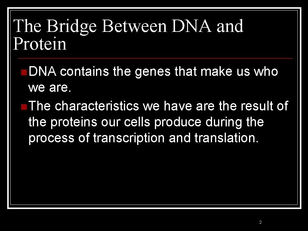 The Bridge Between DNA and Protein n DNA contains the genes that make us