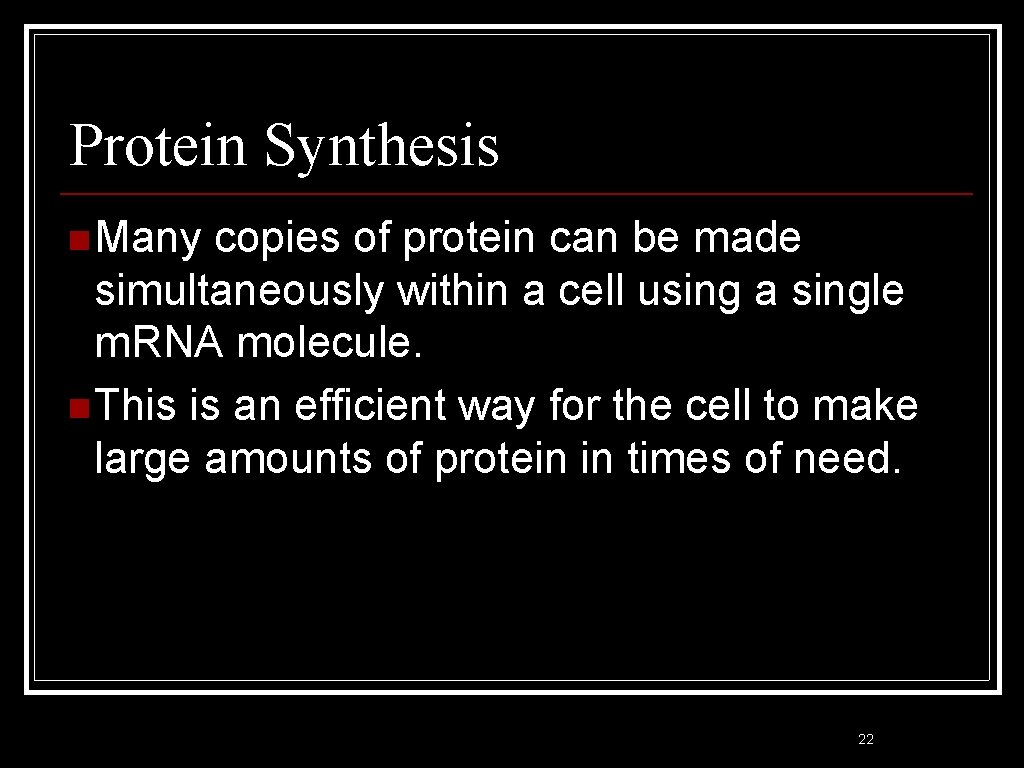 Protein Synthesis n Many copies of protein can be made simultaneously within a cell