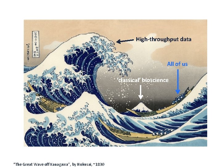 High-throughput data All of us ‘classical’ bioscience “The Great Wave off Kanagawa”, by Hokusai,