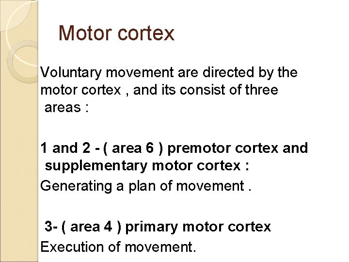 Motor cortex Voluntary movement are directed by the motor cortex , and its consist