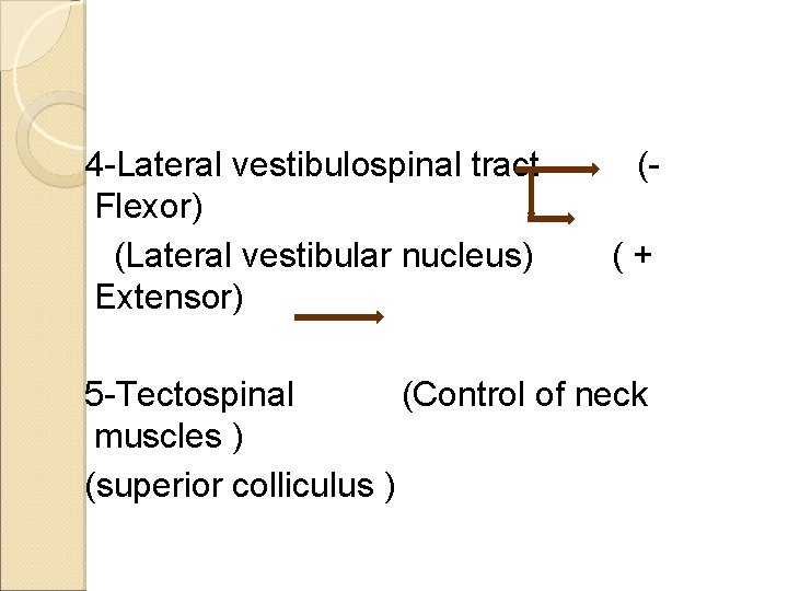 4 -Lateral vestibulospinal tract Flexor) (Lateral vestibular nucleus) Extensor) ((+ 5 -Tectospinal (Control of