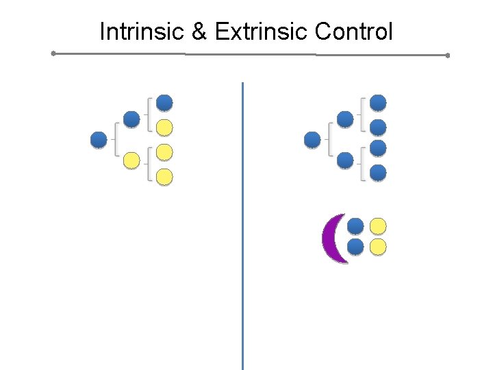 Intrinsic & Extrinsic Control 