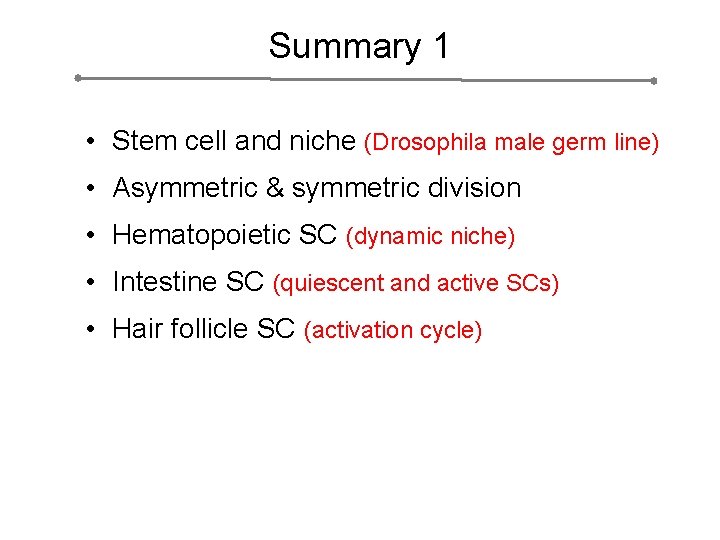 Summary 1 • Stem cell and niche (Drosophila male germ line) • Asymmetric &