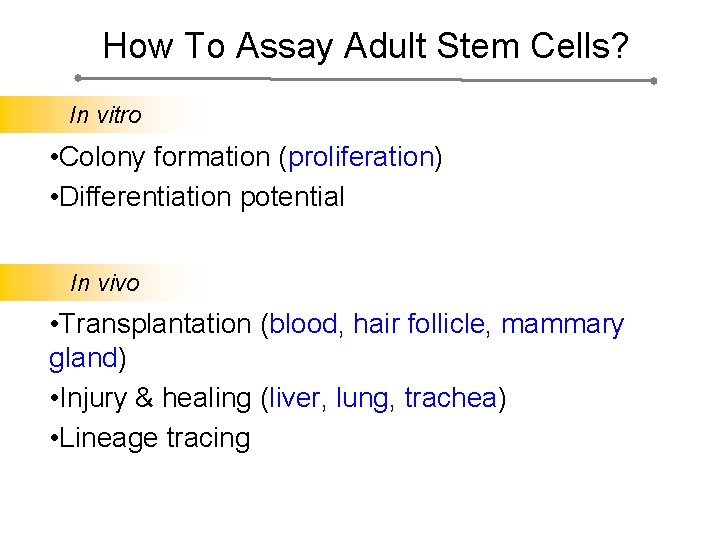 How To Assay Adult Stem Cells? In vitro • Colony formation (proliferation) • Differentiation